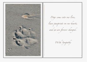 Paw Prints - Pet #4209932