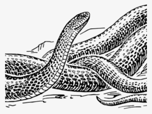 Snake Clipart Vector - Black And White Snake Drawing #4210723