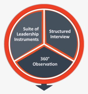 Beampines Executive Assessment & Development Planning #4210780