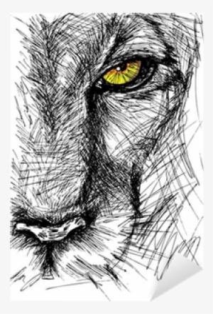 Hand Drawn Sketch Of A Lion Looking Intently At The - Lion Drawing #4210976