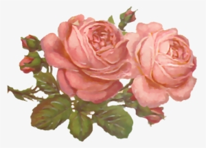 Flores Ilustraciones En Png Para Artesan A Y Dise Os - Вышивка Крестом Бесплатные Схемы #4211210