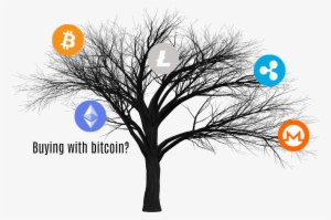 Amazon Go[es], Buying With Bitcoin And Square Comes - Trunk #4211453