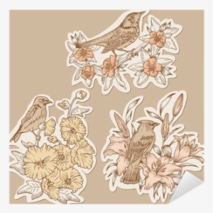 Vinilo Pixerstick Conjunto De Los Pájaros Del Vintage - So-02e Xperia Z 【2個以上 送料無料】ハードケース フラワー So02e A17 643 #4211482