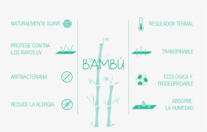 Original Infografia Bambu 02 - Writing #4211955