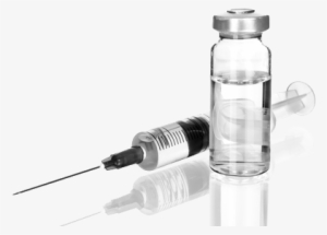 Cancer Drug For Dogs No Longer Conditionally Approved #4211961