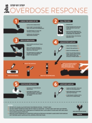 Durc Web Od1 #4212301