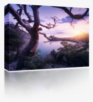 Crimean Mountain Tree - High-definition Television #4212354