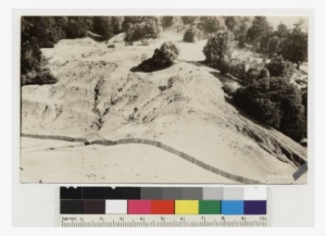 Erosion On Cleared And Heavily Sheeped Southerly Slope - Theatre Ticket #4212466