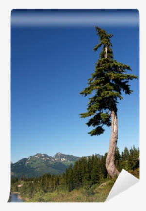 Lost Love Found In Eagle Cove (sweet) [book] #4212815