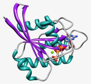 Hras Secondary Structure Ribbon - Ras Protein Secondary Structure #4213051
