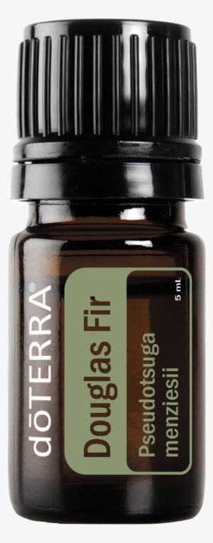 Doterra Douglas Fir Essential Oil 5ml - Doterra Breathe Essential Oil 5ml Dt-breathe-5ml #4213164