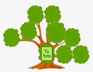 You Might Also Like - Arbol Genealogico De Tu Familia #4213249