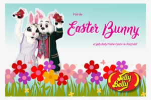 Jelly Belly #4213516