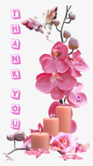 Orchid Flower Frame Psd #4213948