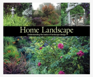 Pm - Climbing Cat Decor 5 Star Rated Item #4214859