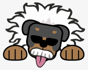 Einstein Rott Trivia - Trivia #4214995