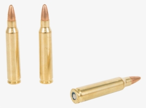 Rifle Ammunition - Ammunition #4215133