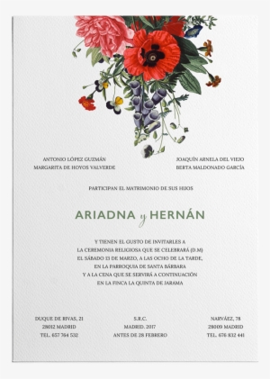 Inicio - Hibiscus #4215322