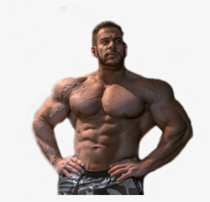 Slide - Bodybuilding #4215657