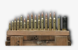 Bullet Display - Dummy Round #4215758