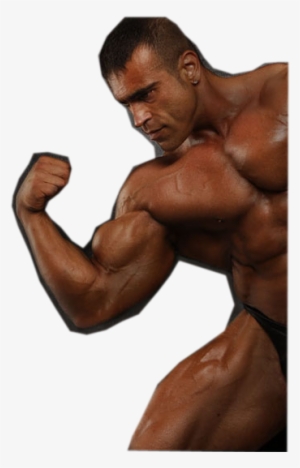 The Benefits Of Cardio Vascular Exercise - About.me #4215802