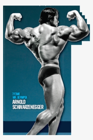 Now Vs The Arnold Era - Bodybuilding #4216065
