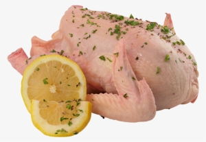 Fresh Chicken Whole - Chicken #4216118