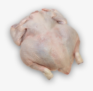 Whole Chicken - Turkey Meat #4216576