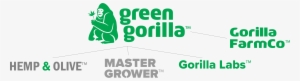 Green Gorilla Launches Scalable Hemp Growing Operation - Green Gorilla #4216615