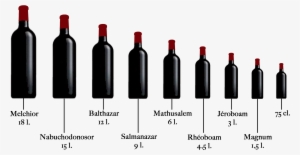 Media Botella 0,50 Litro - Botellas De Vino Tamaños #4216814