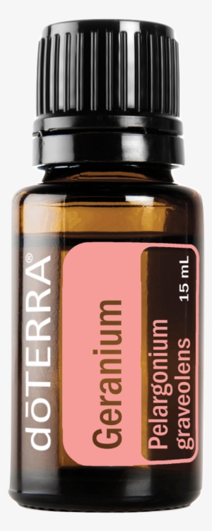 In Addition, Click Here To Download A Free Png Image #4217948