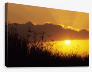 Hawaii, Maui, Sunset Over Hillside #4218123