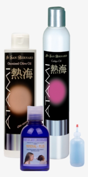 Triple Oil W Bottle - San Bernard Ginkgo Biloba Shampoo 250 Ml #4218164