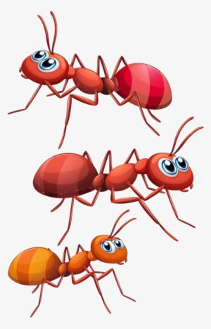 Ants Hormiga Dibujos, Animalitos Infantiles, Dibujos - 3 Hormigas Animados #4218330