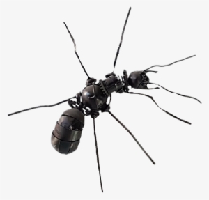 Sawfly #4218488
