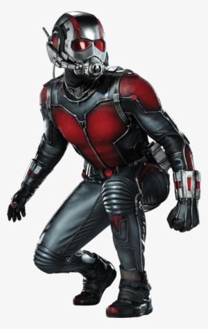 From The Ant-man Image And Art Archives - Antman Png #4218536