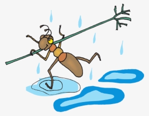 Las Hormigas Pueden Sobrevivir Debajo Del Agua - Учимся Читать По-английски. Книга Для Детей И Родителей #4218763