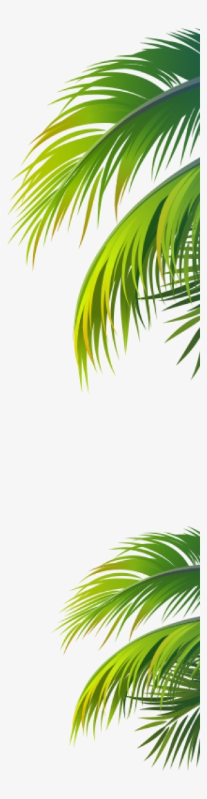 Hazlo Tropical Hazlo Tropical - Attalea Speciosa #4218997