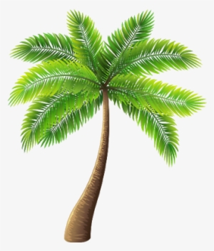 Palm Tree Png Transparent #4219113 Palm Tree Png Transparent #4219113