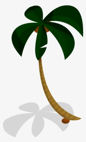 Palmera Tropical - Imagui - Palmera Tropical #4219157