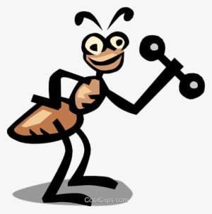 Hormiga Libres De Derechos Ilustraciones De Vectores - Ant #4219272