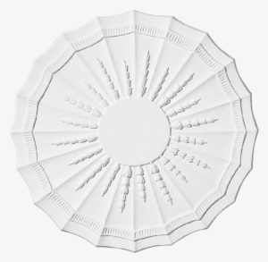 More Views - Circle #4219798