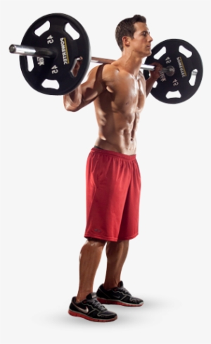 Homem Fazendo Agachamento Definição Muscular Indside - Homem Na Academia Em Png #4220955