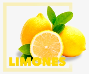 Limon Real En Mexico #4221423