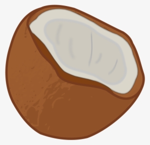 Free Miniature Coconut Palm Free Coconut - Coconut Clip Art #4222650