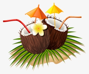Hand Drawn Natural Juice Coconut Vector #4222767