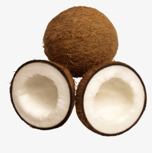 Tropical Fruit Coconut Png - Fruit #4223021