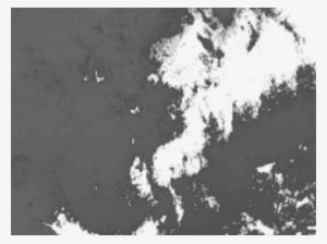 Monochrome #4223603