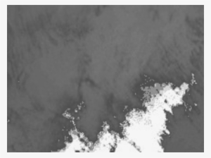 Monochrome #4223845