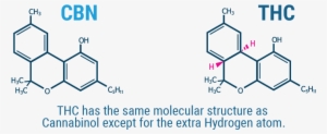 Cbn Composition - Thc Cbd Cbn Molécules #4223969